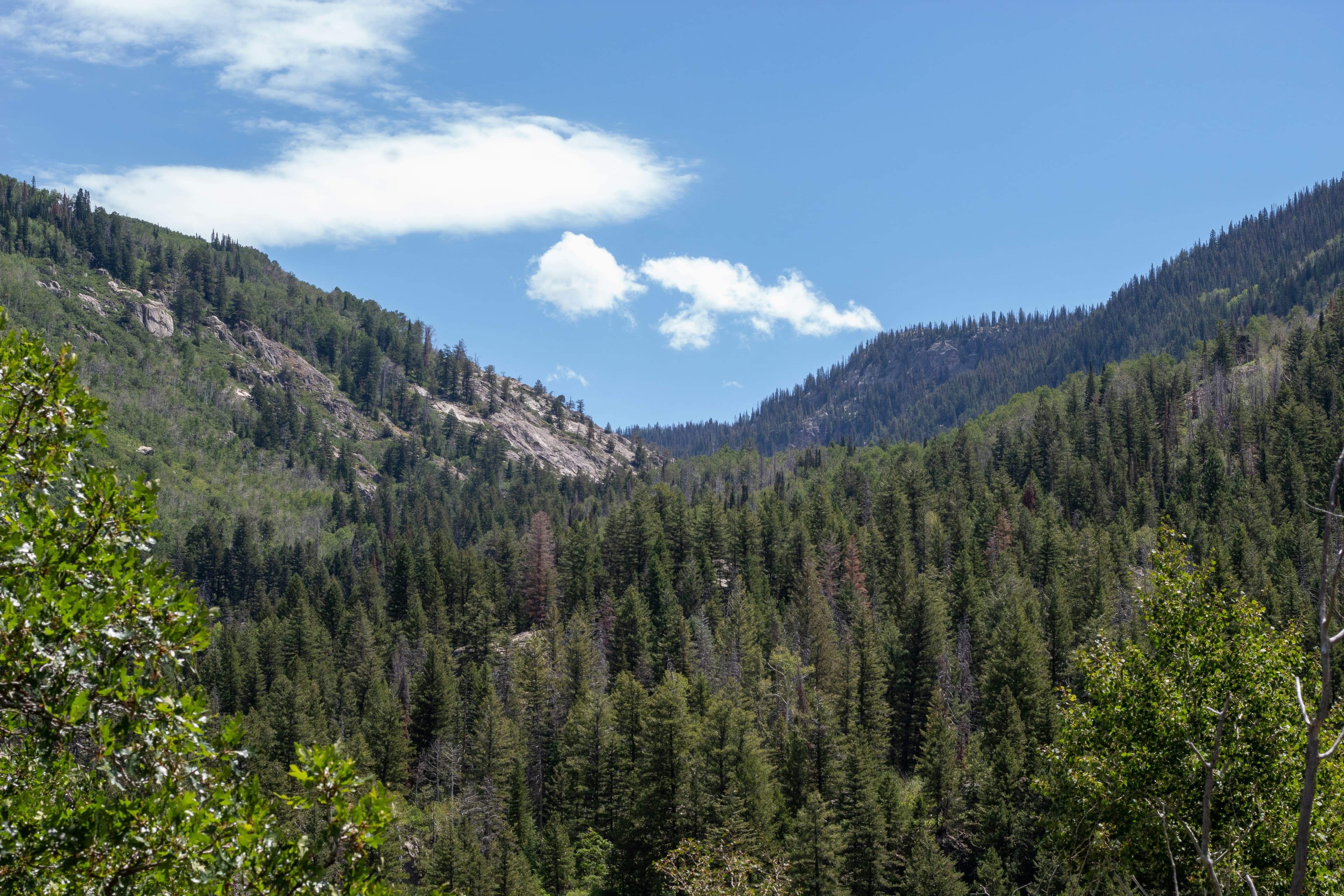Steamboat Springs Colorado mountain landscape at sunrise