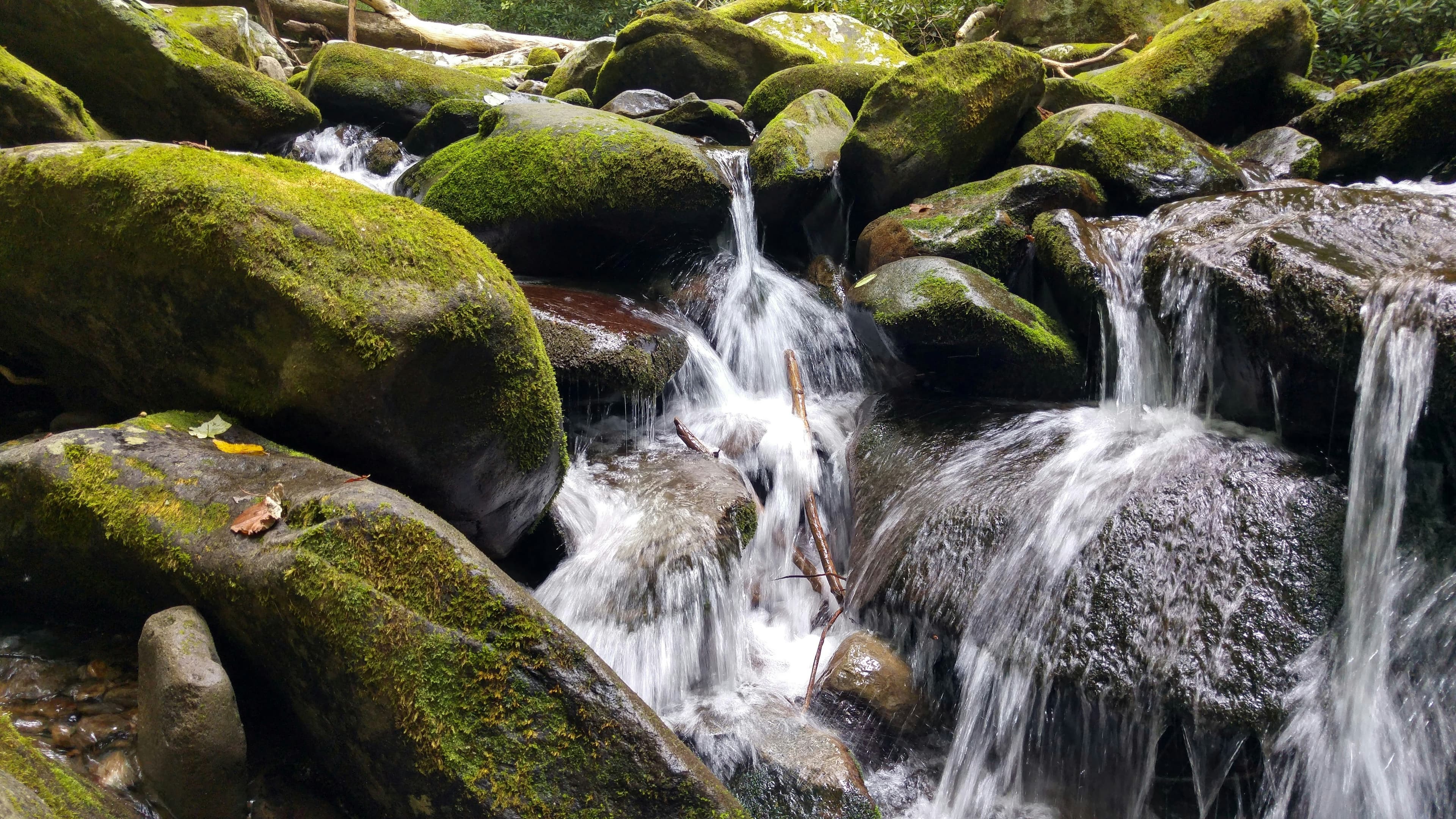 Scenic Smoky Mountains near Gatlinburg, Tennessee, by A Uppunuthula
