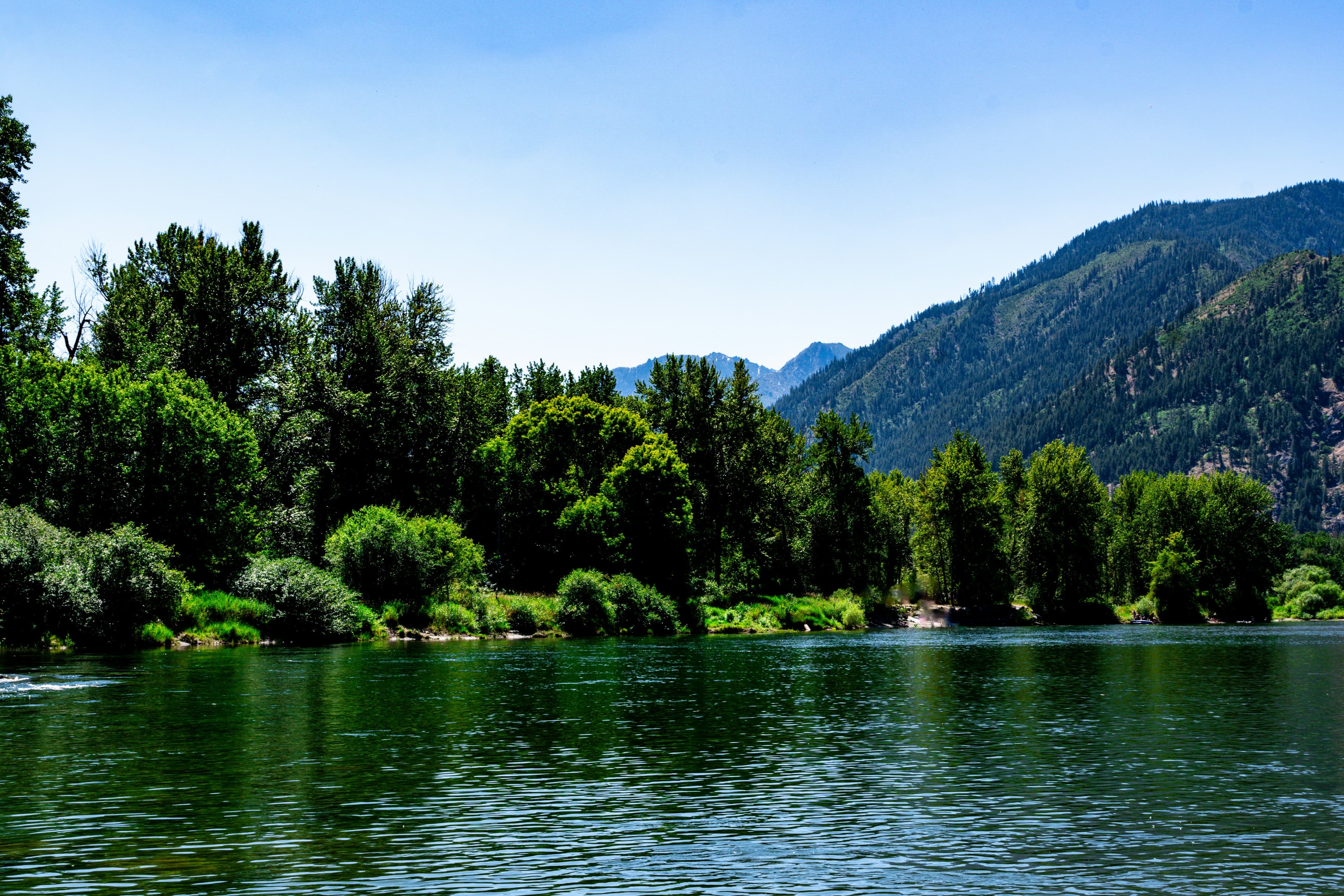 Scenic Leavenworth Washington campsite surrounded by trees