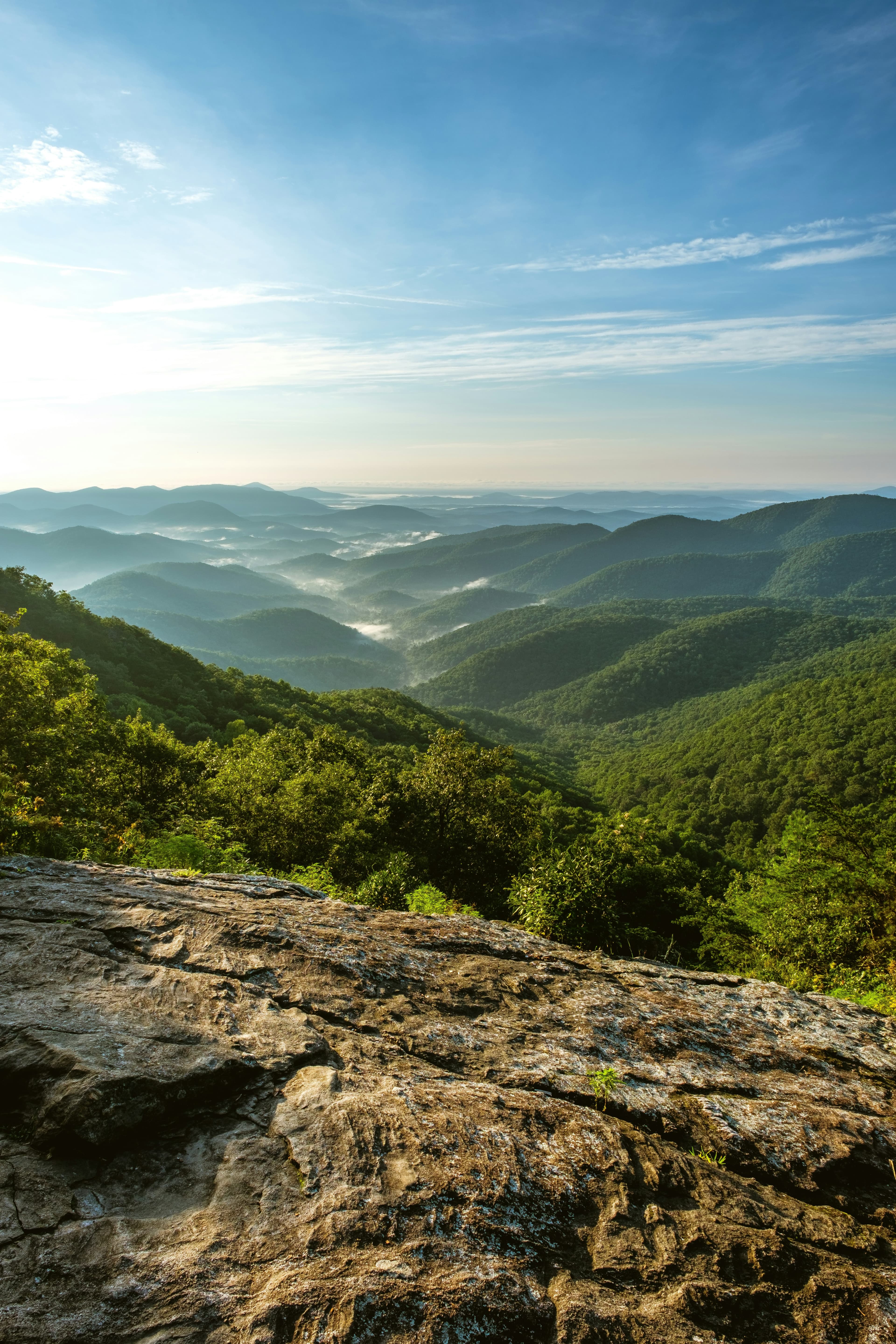 Tent camping in Georgia's Chattahoochee National Forest wilderness
