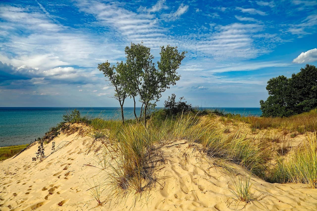 Scenic shoreline of Lake Michigan at Indiana Dunes State Park with lush plants and trees
