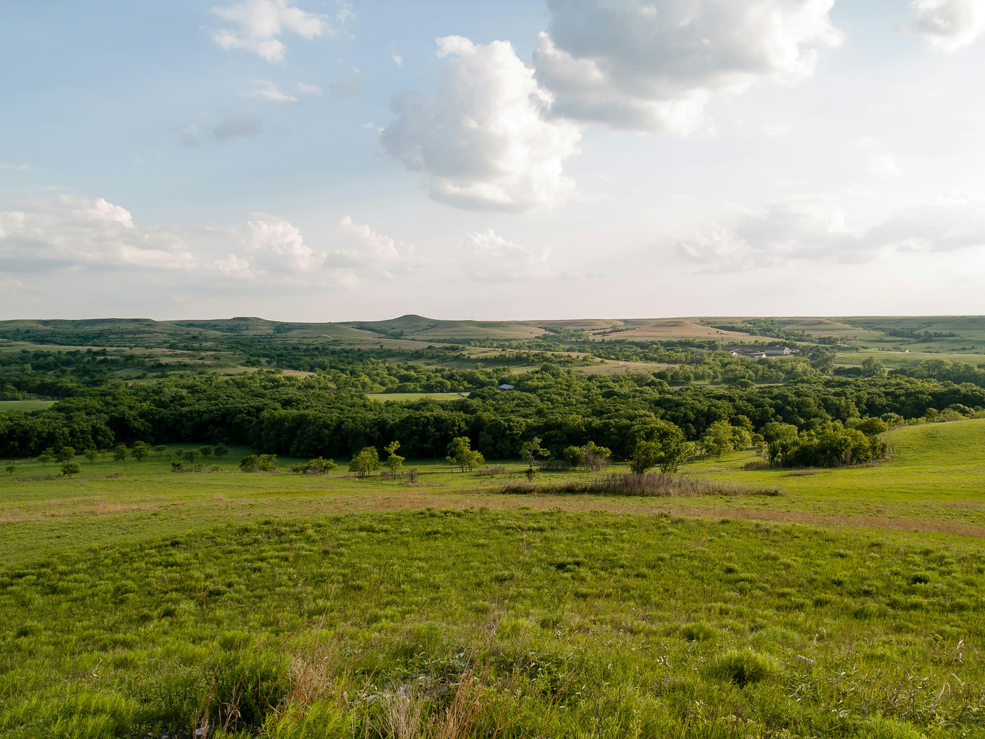 Kansas Flint Hills camping under starry night sky by Mary H