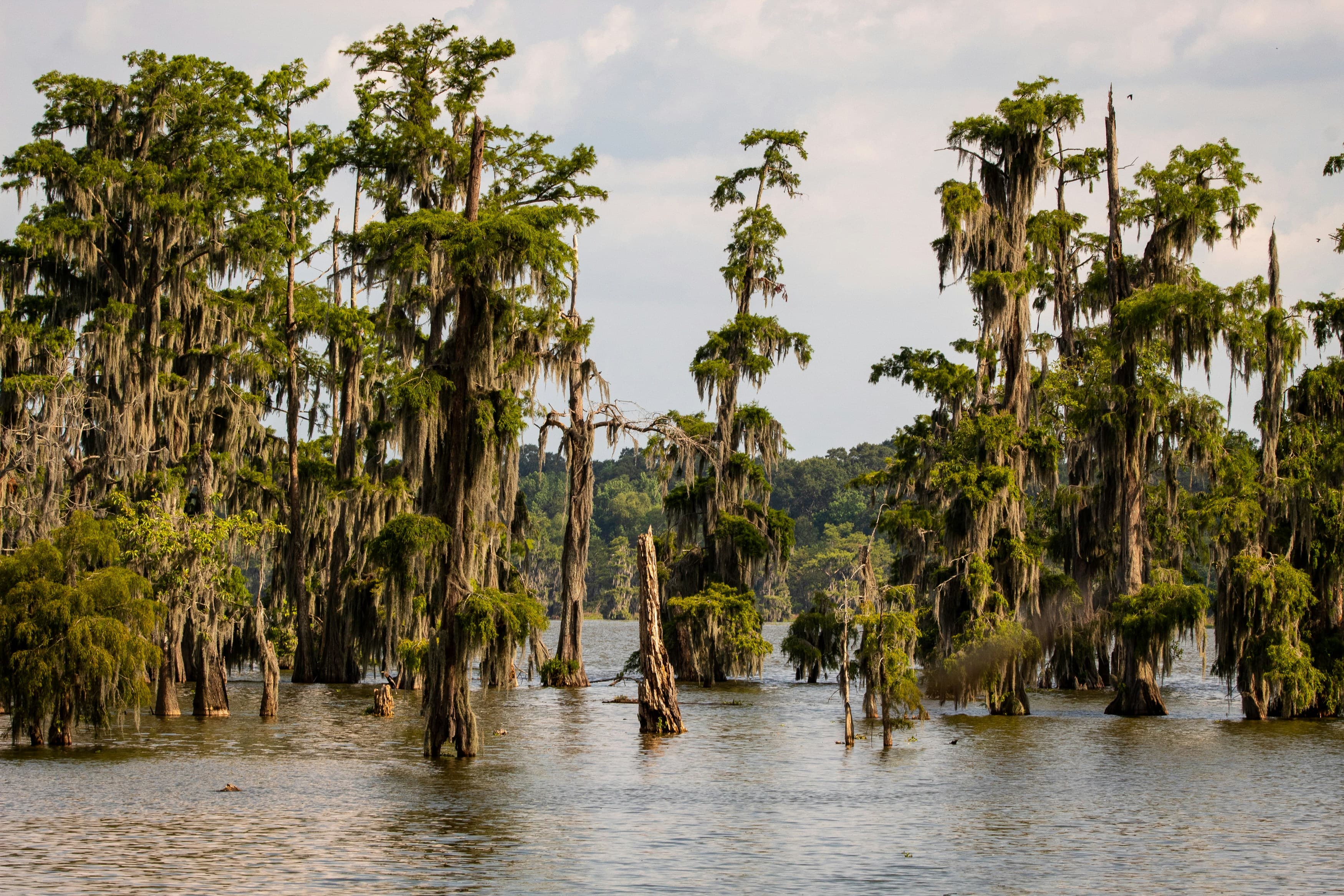 Bayou Teche sunset in Louisiana