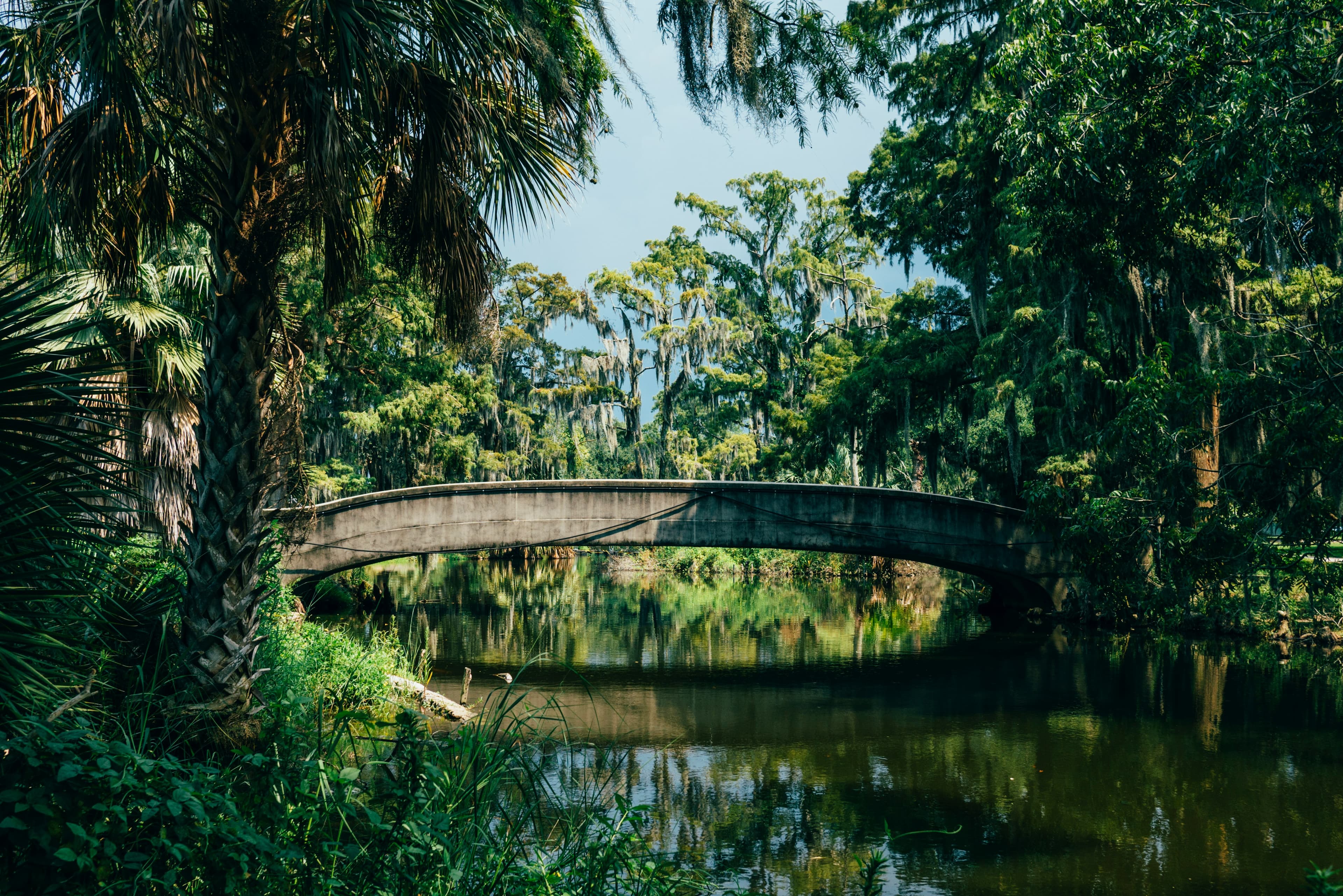 Cypress swamps of Atchafalaya Basin in Louisiana