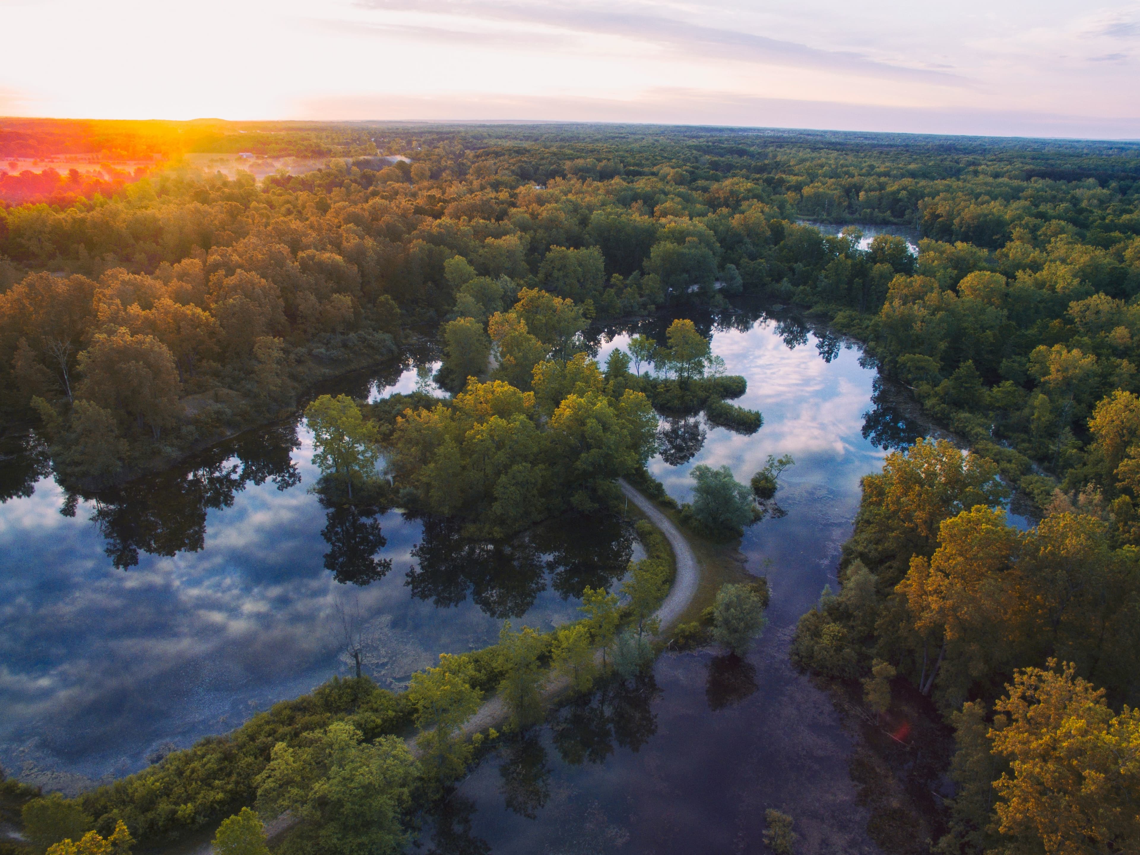 Serene forest campsite in Michigan's Upper Peninsula wilderness area