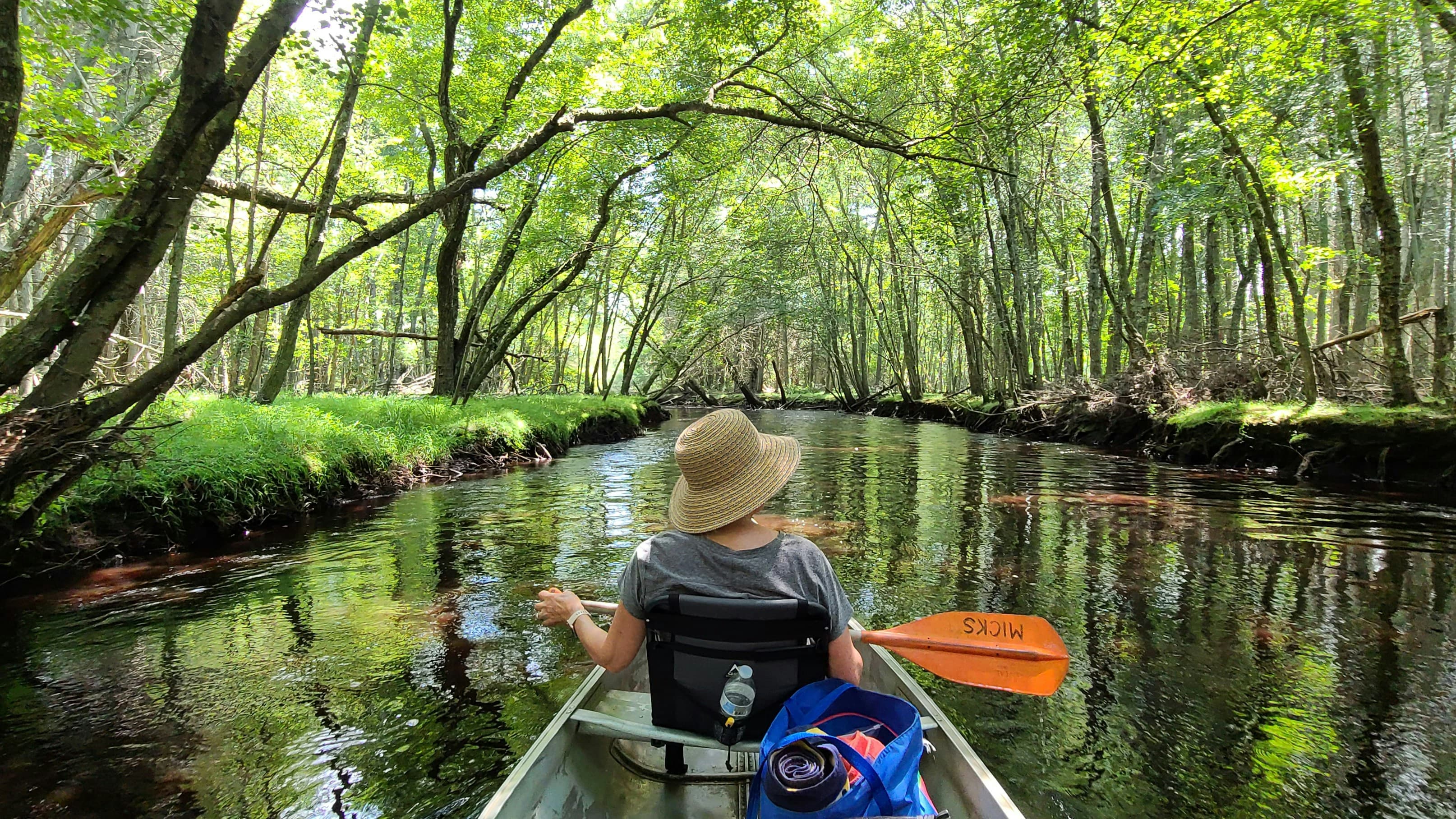 Sunset over New Jersey's Wharton State Forest