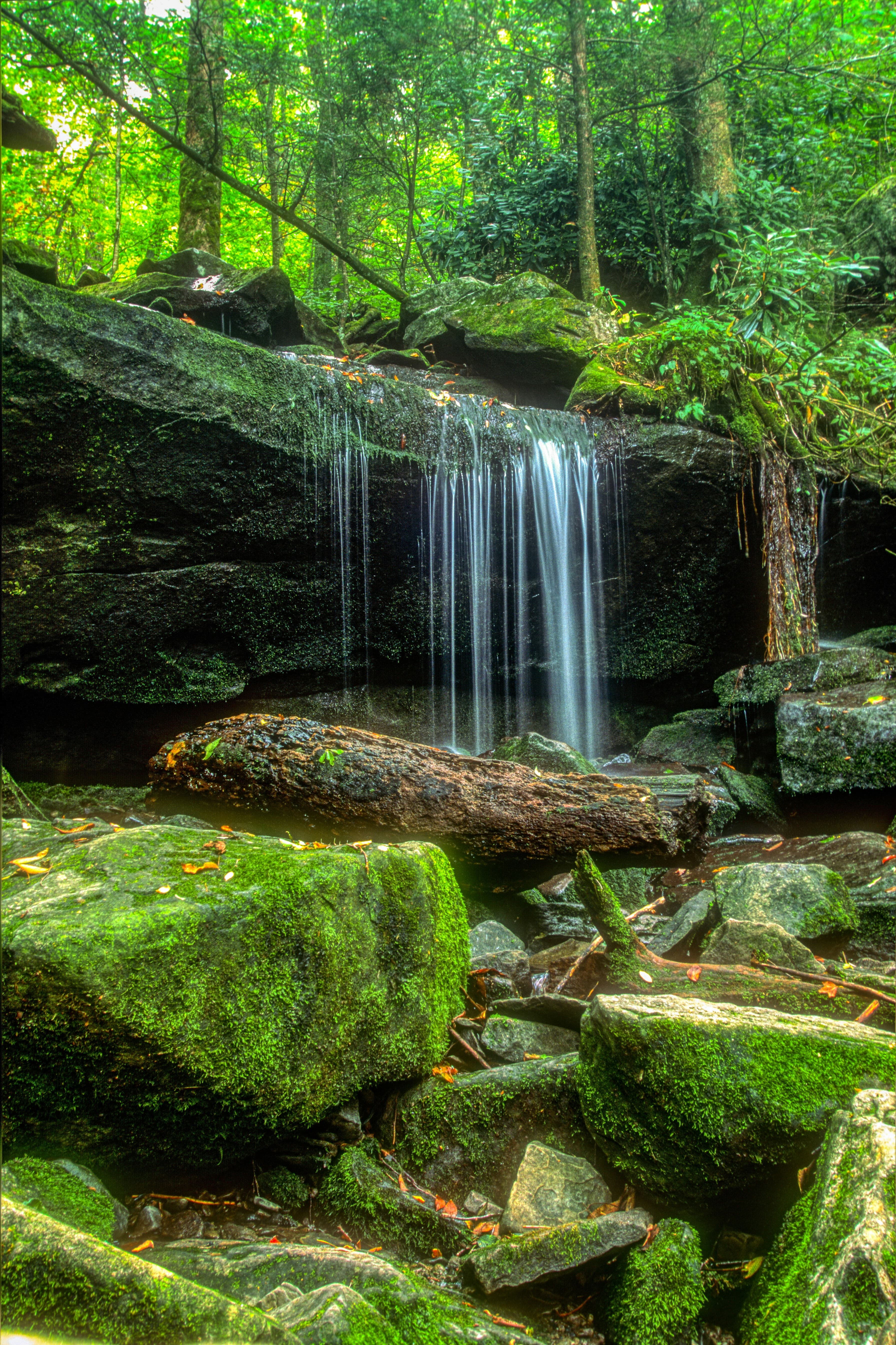 Majestic Great Smoky Mountains in North Carolina by Mick H