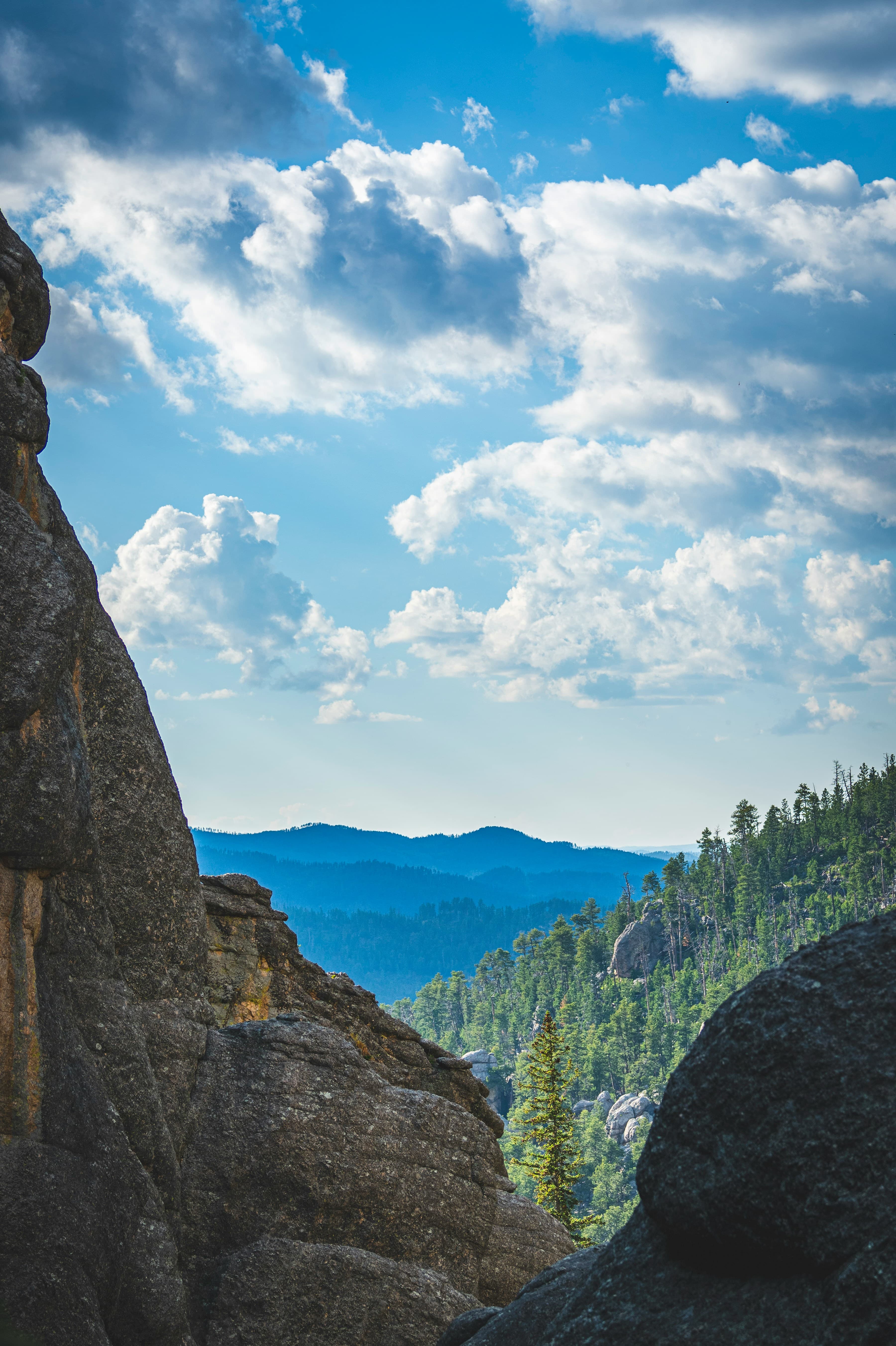 Scenic Black Hills landscape in South Dakota by Jon S