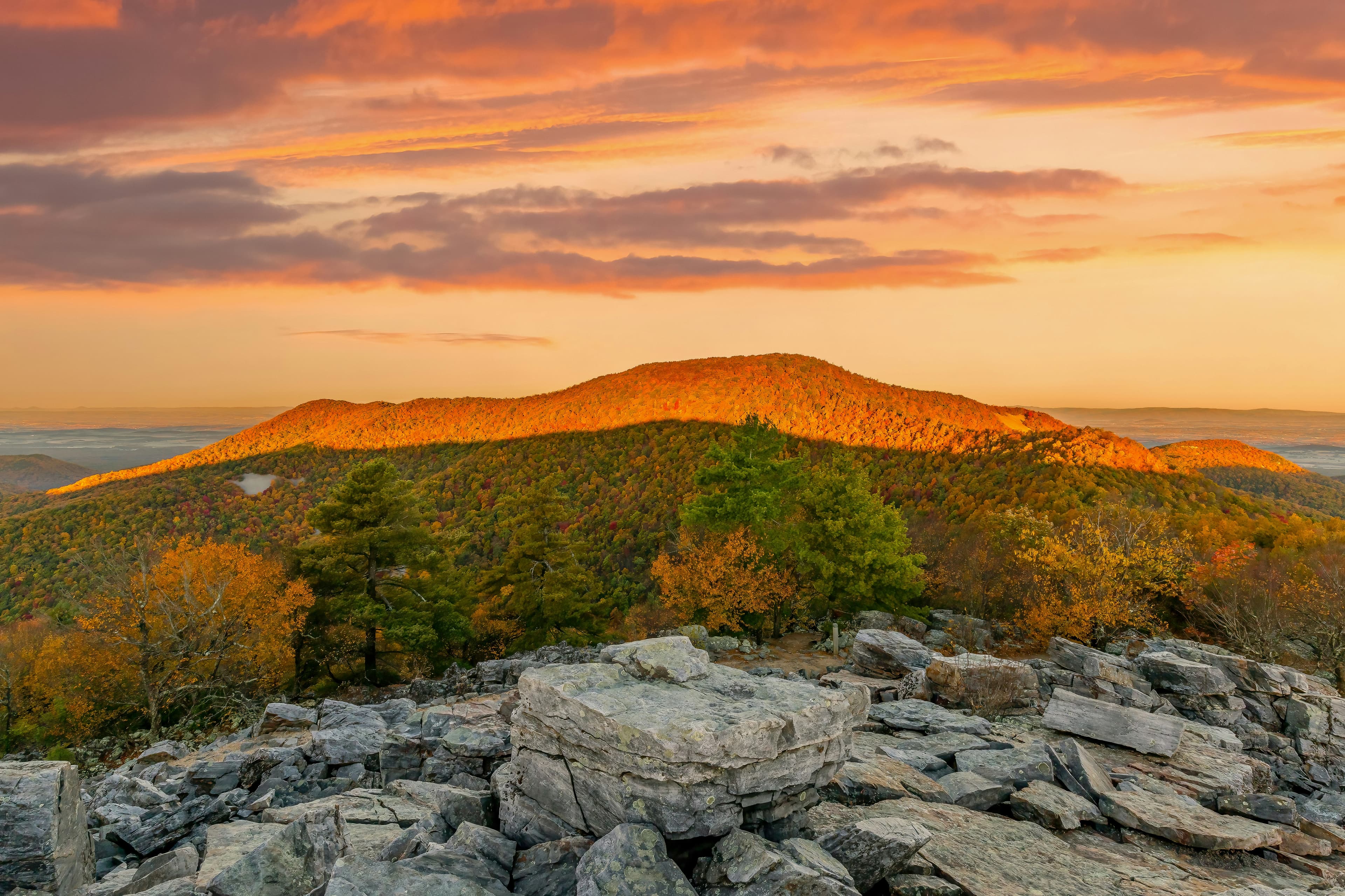 Majestic Appalachian Trail in Virginia, captured by D Dalkanat