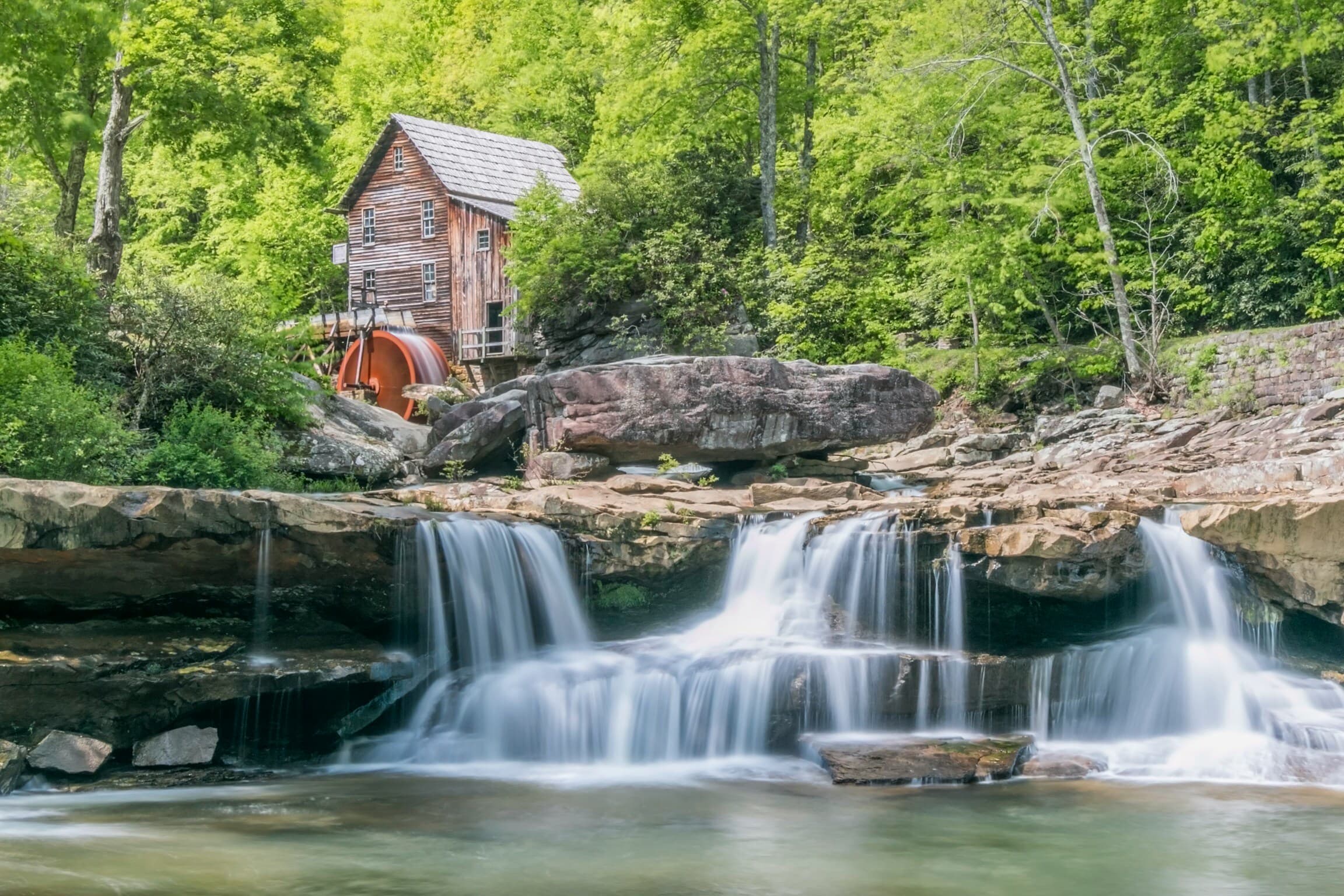 Panoramic view of West Virginia forest by J Wheeler
