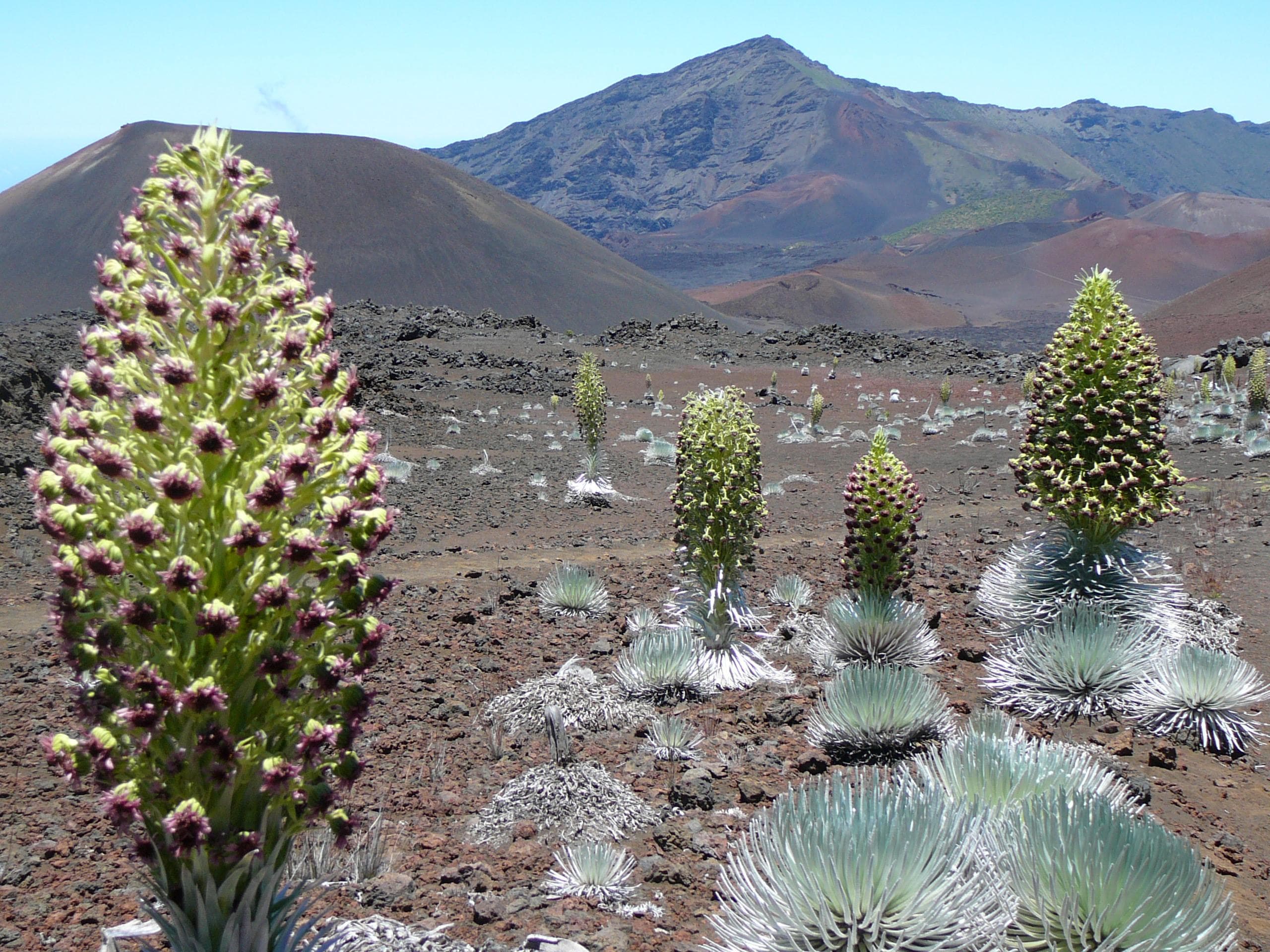 Haleakala National Park