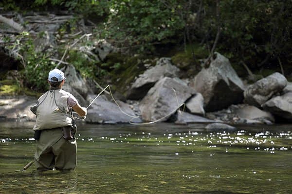 Mountain View RV Park (Columbia Falls, Montana) photo