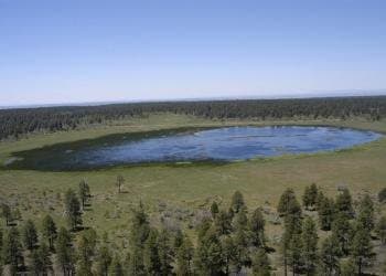 Junction Creek Campground