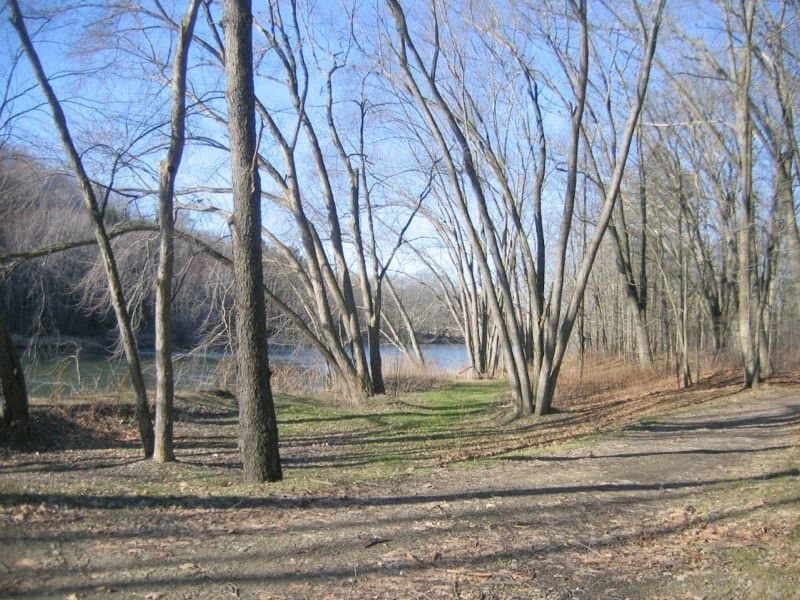 Riverhurst Park Campground