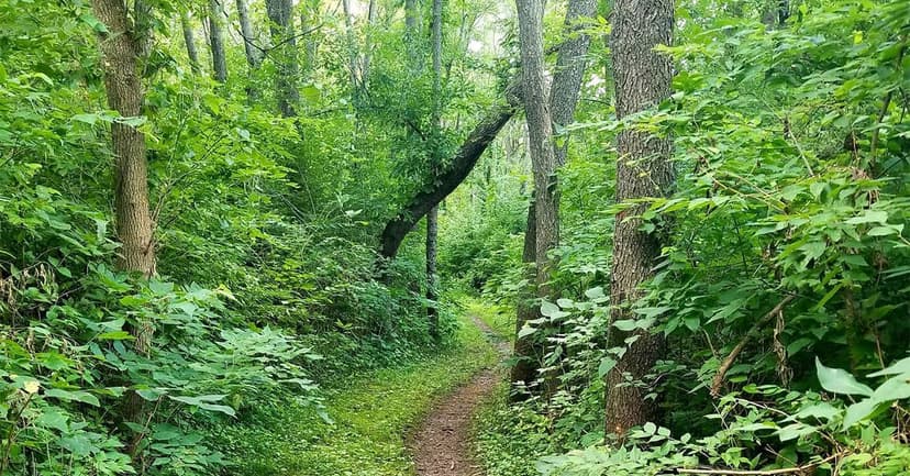 Lake Cunningham Campground
