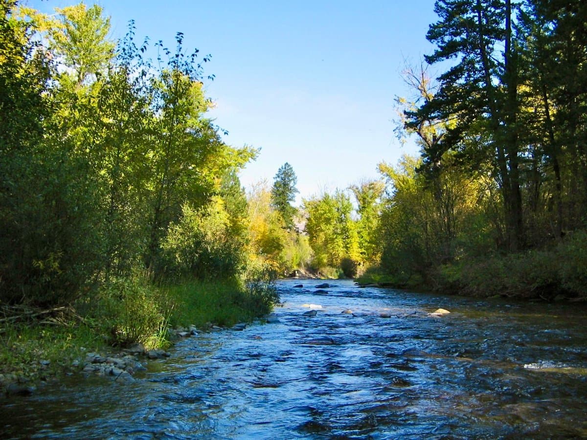 Yellowrock Campground (Lolo, Montana) photo