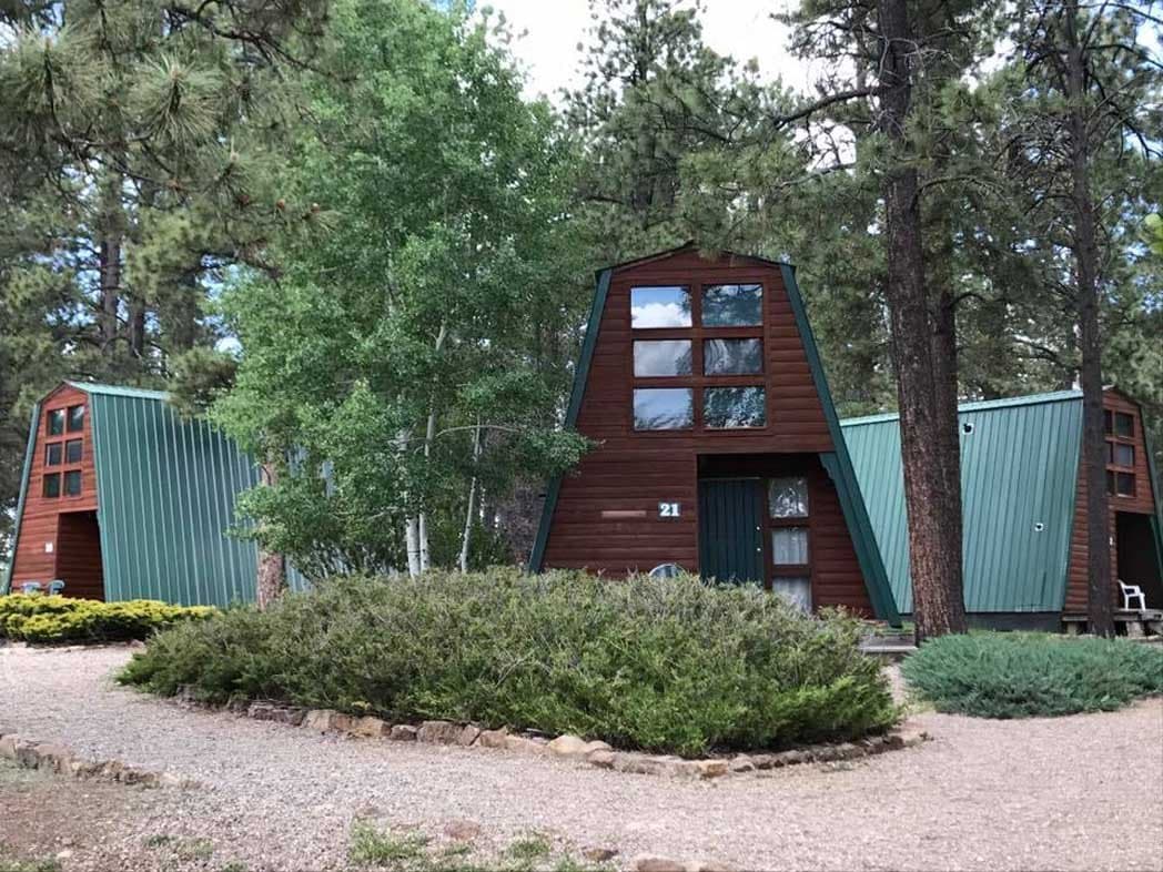 Echo Basin Cabin and RV Resort (Mancos, Colorado) photo