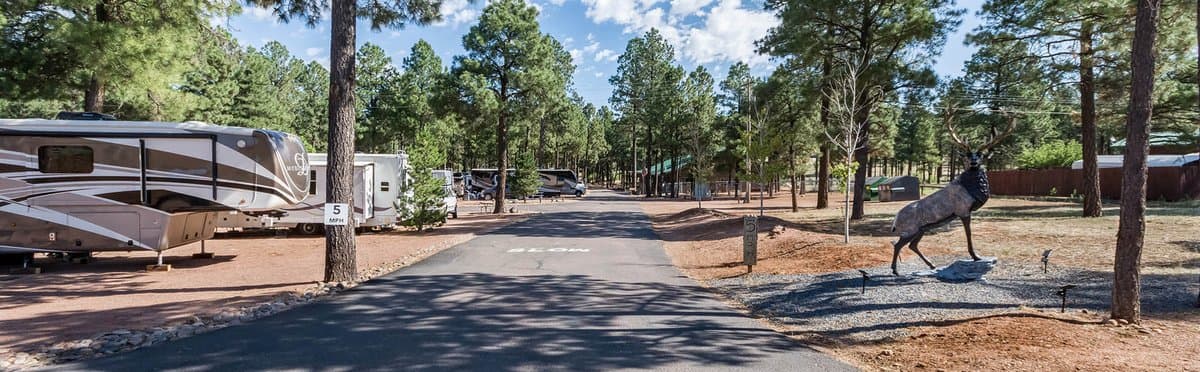 Elkpines 55+ RV Resort (Overgaard, Arizona) photo