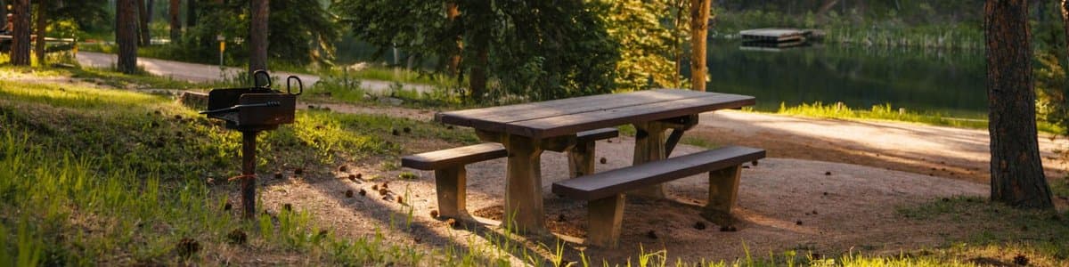 Pine Grove Motorized Trailhead (recgovnpsdata)