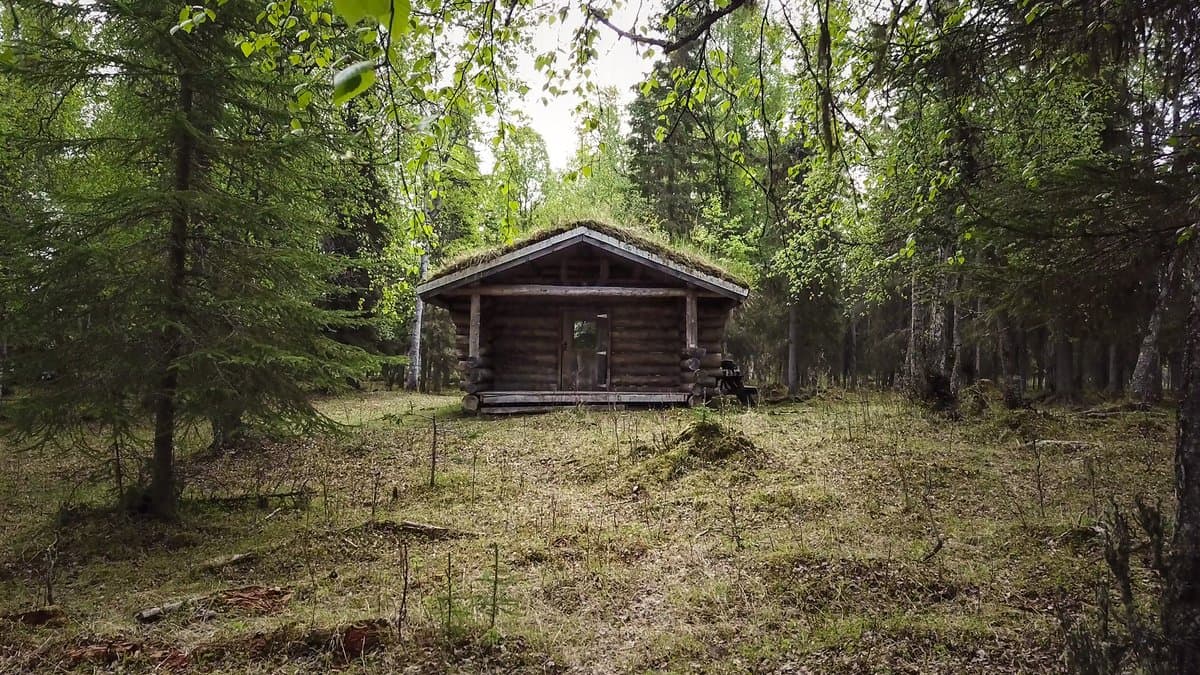 Diamond M Ranch Resort (Kenai, Alaska) photo