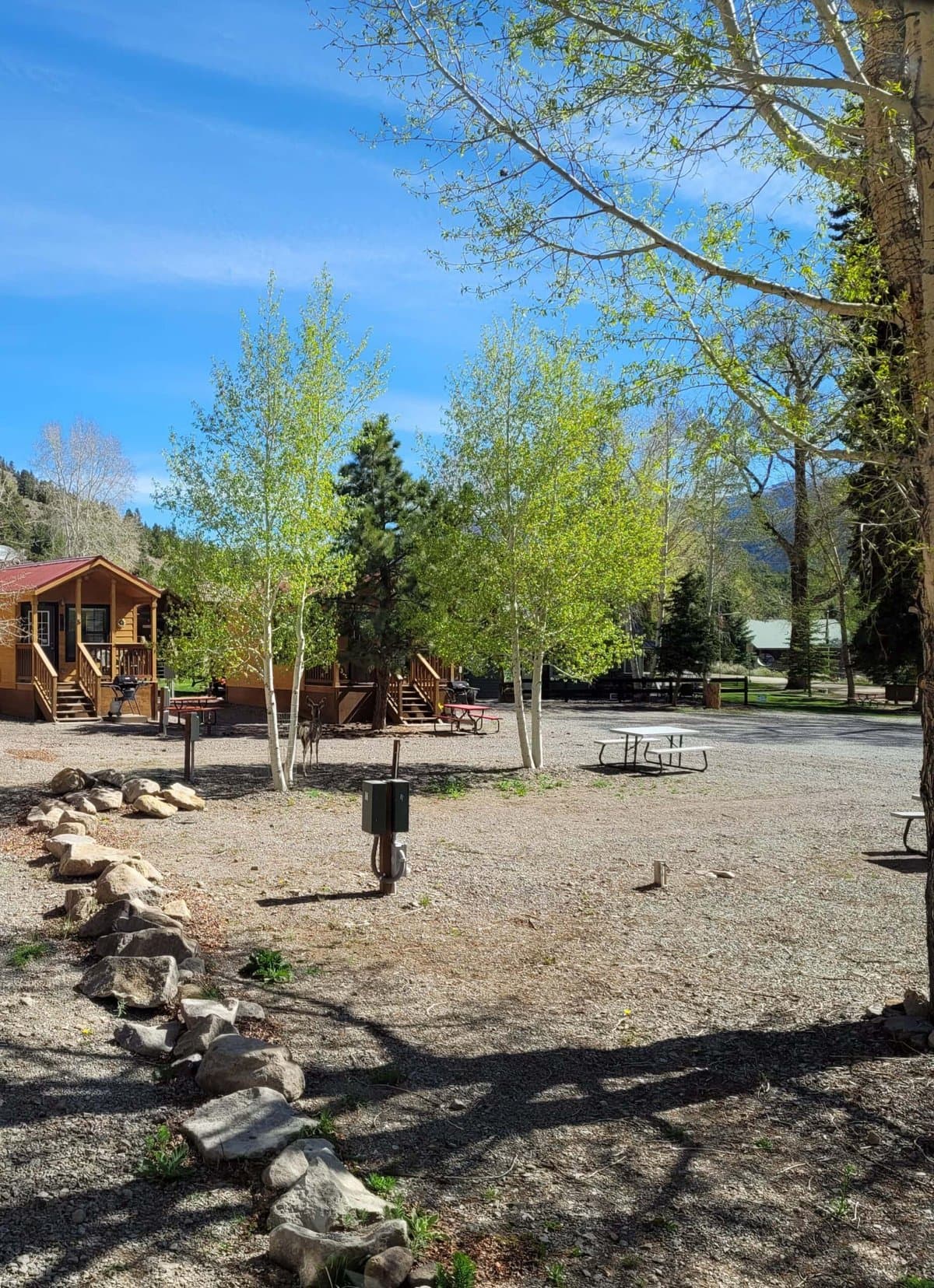 Elkhorn RV Resort & Cabins (Lake City, Colorado) photo