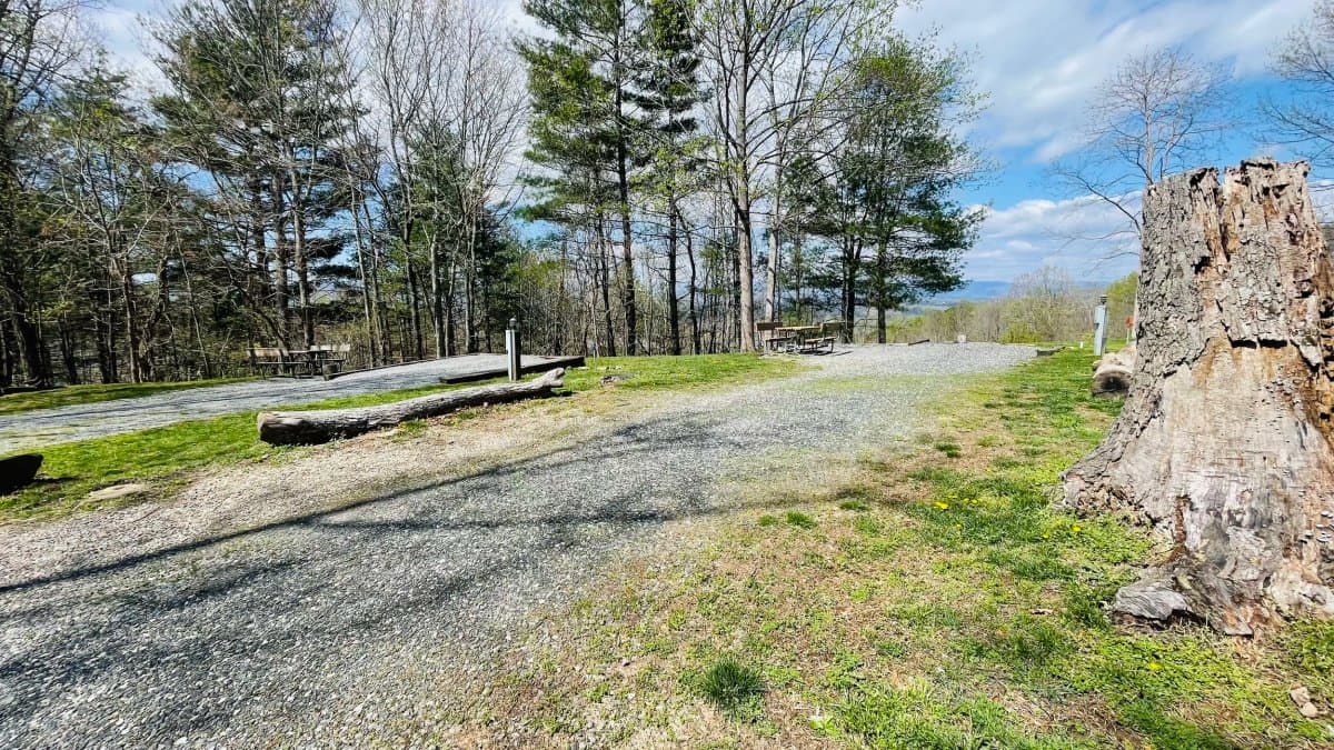 Campfire Lodgings (Asheville, North Carolina) photo