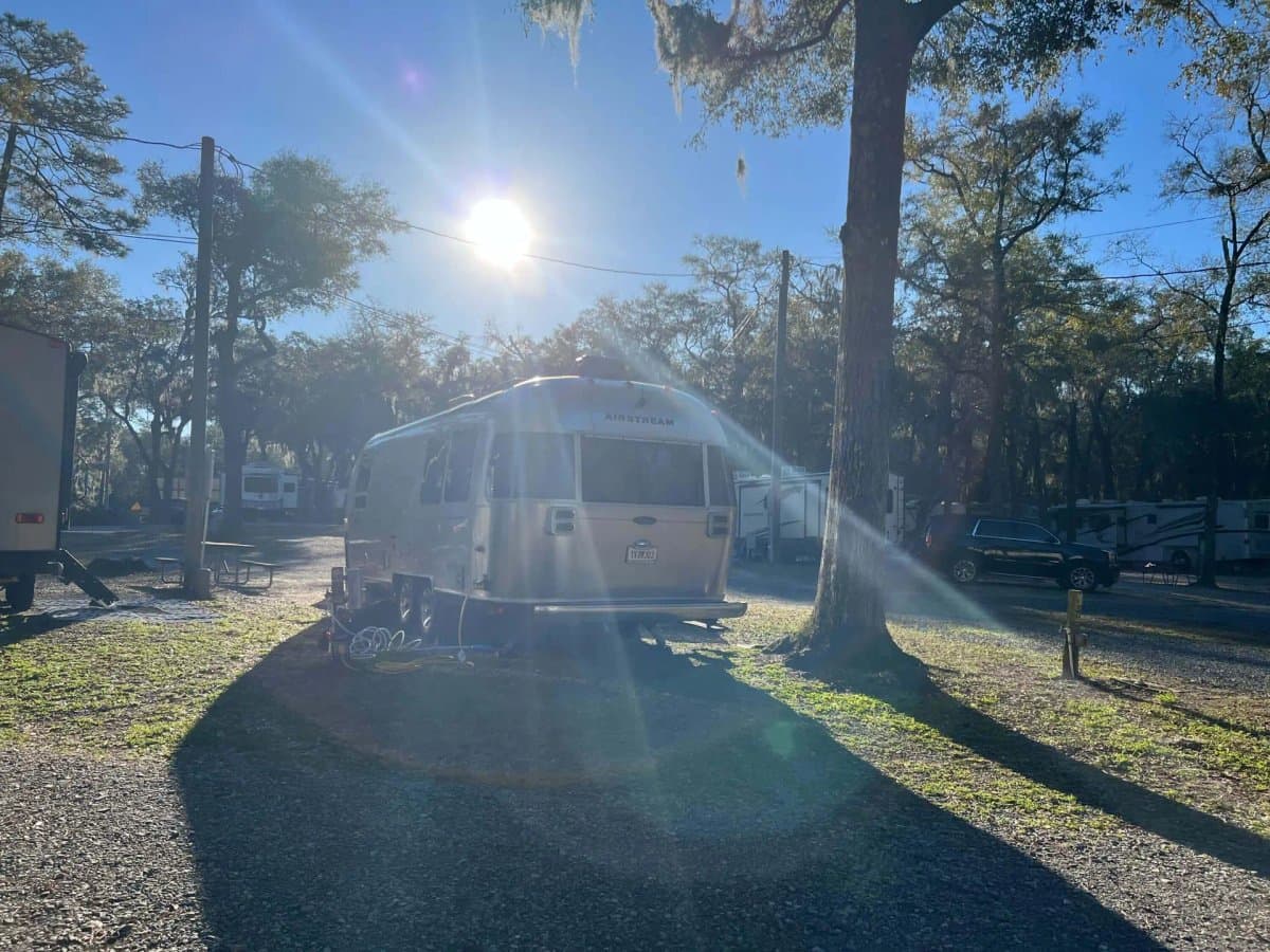 Spacious Skies Campgrounds - Savannah Oaks (Savannah, Georgia) photo