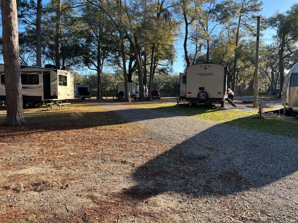 Spacious Skies Campgrounds - Savannah Oaks (Savannah, Georgia) photo