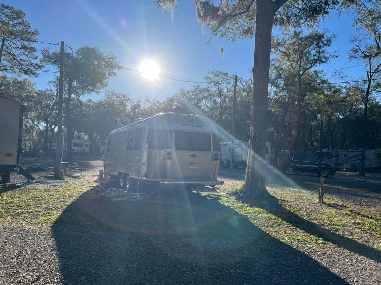 Spacious Skies Campgrounds - Savannah Oaks (Savannah, Georgia) photo
