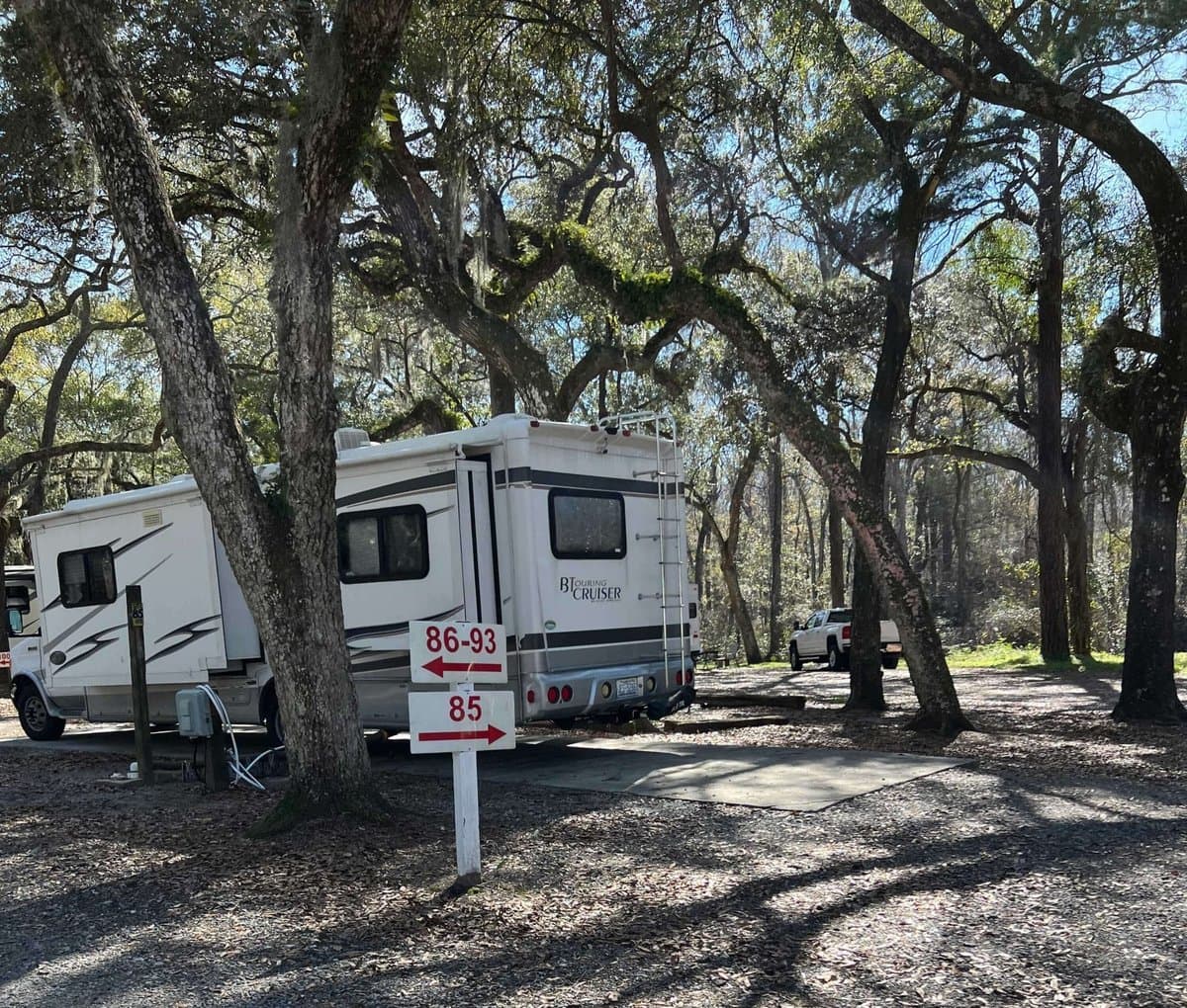 Spacious Skies Campgrounds - Savannah Oaks (Savannah, Georgia) photo