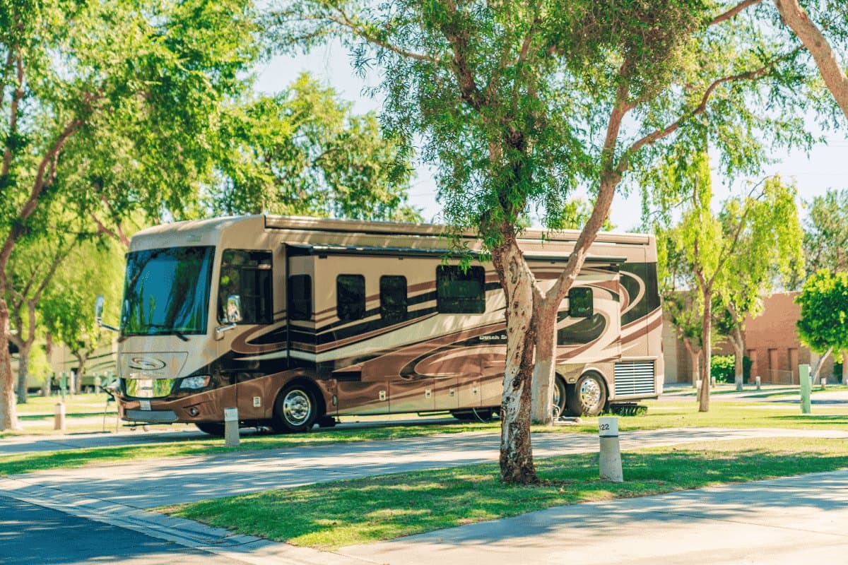 Emerald Desert RV Resort (Palm Desert, California) photo