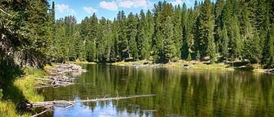 Yellowstone RV Park at Mack's Inn (Island Park, Idaho) photo