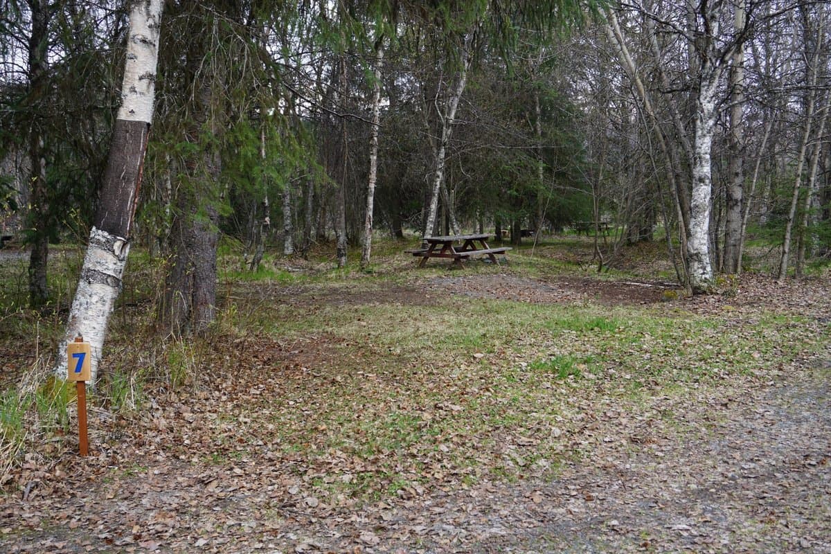 Moose Pass Campground (Moose Pass, Alaska) photo