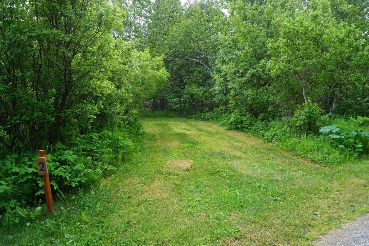 Moose Pass Campground (Moose Pass, Alaska) photo