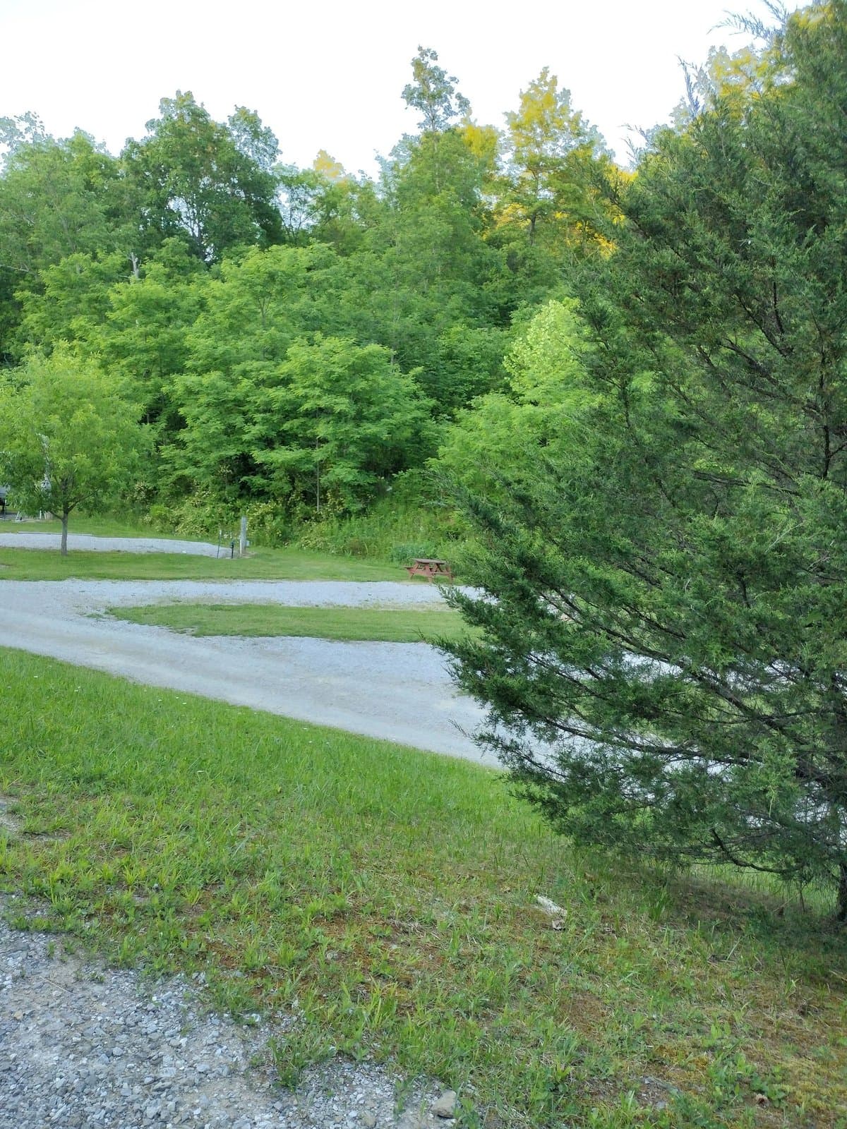 Cabin Run Creek Campground LLC (Brooksville, Kentucky) photo