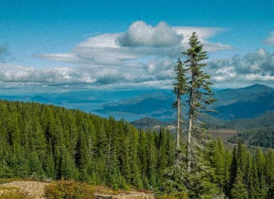 Wolf Lodge Campground