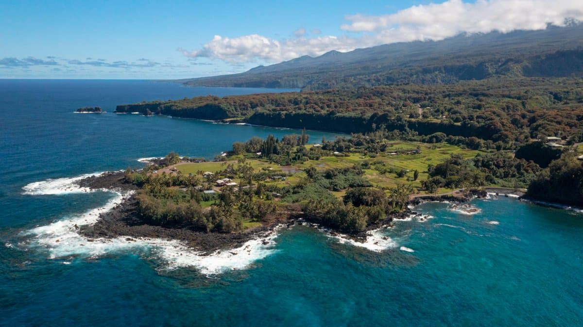 Ke'anae Uka (Haiku, Hawaii) photo