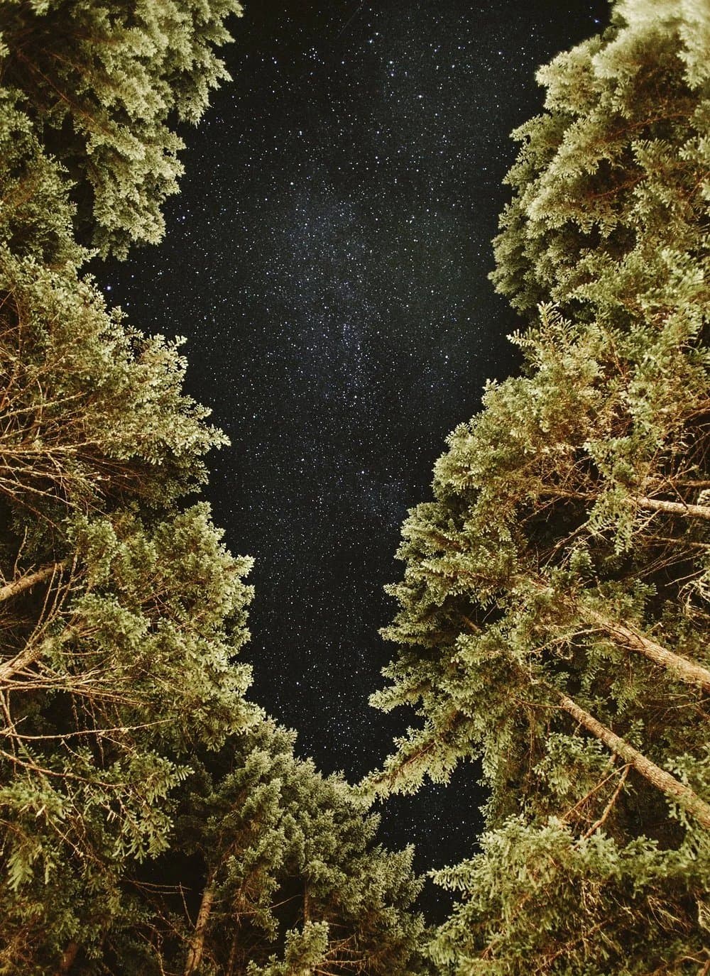 Skokomish Park at Lake Cushman (Hoodsport, Washington) photo