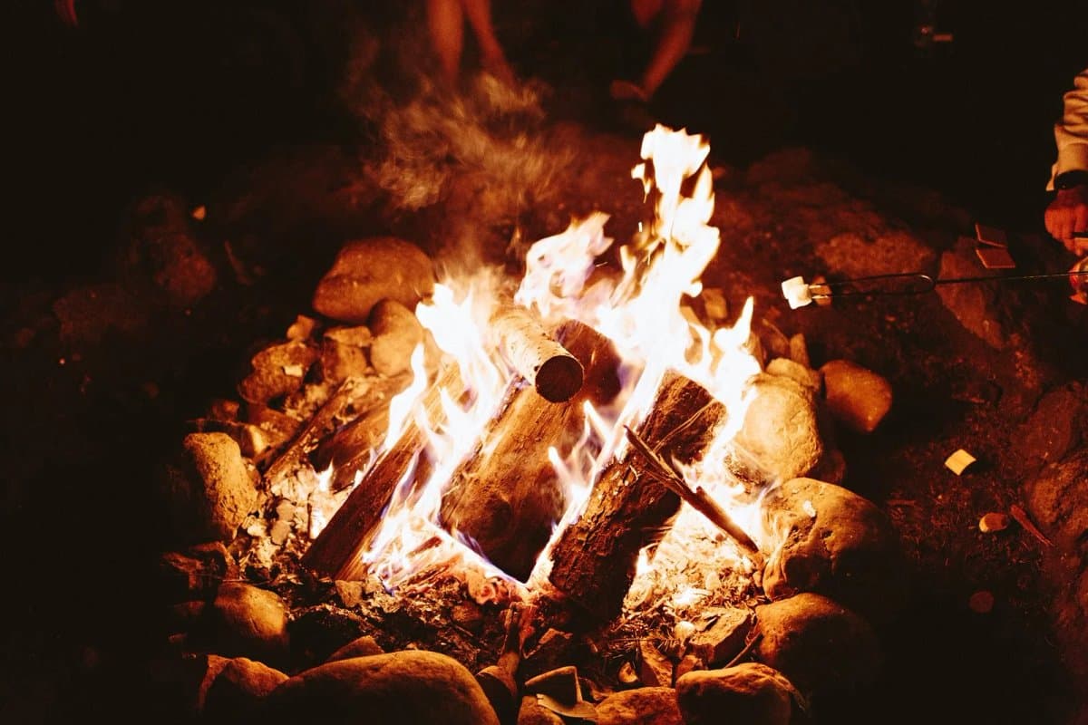 Skokomish Park at Lake Cushman (Hoodsport, Washington) photo