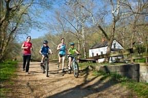 Purslane Run Campsite