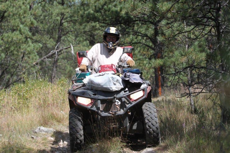 Custer Mountain Cabins & Campground (Custer, South Dakota) photo