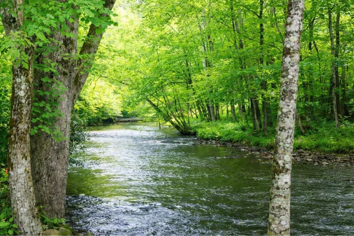 Creekside RV Park (Pigeon Forge, Tennessee) photo