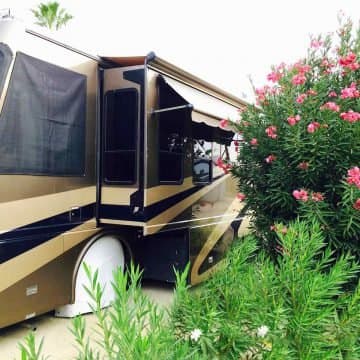 Catalina Spa RV Resort (Desert Hot Springs, California) photo