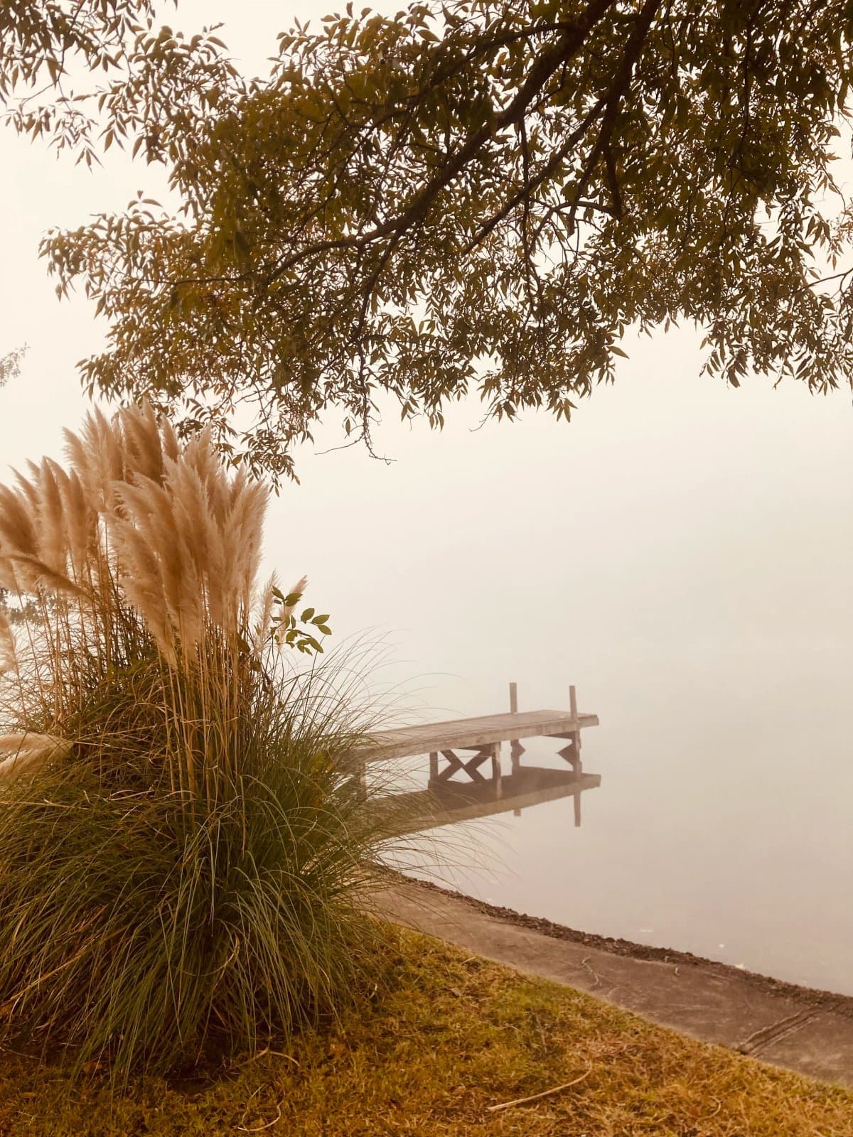 Treasure Isle RV Park (Hot Springs, Arkansas) photo