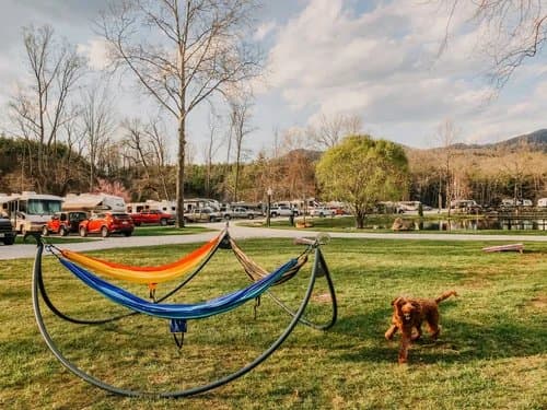 Mountain River Family Campground (Newland, North Carolina) photo