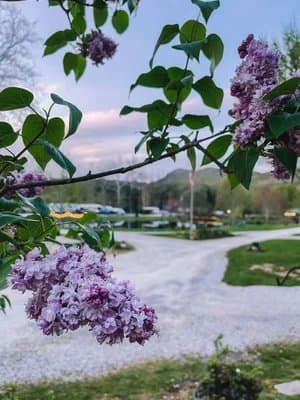 Mountain River Family Campground (Newland, North Carolina) photo