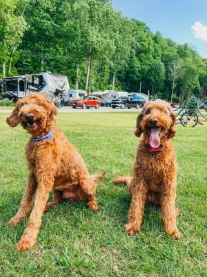 Mountain River Family Campground (Newland, North Carolina) photo