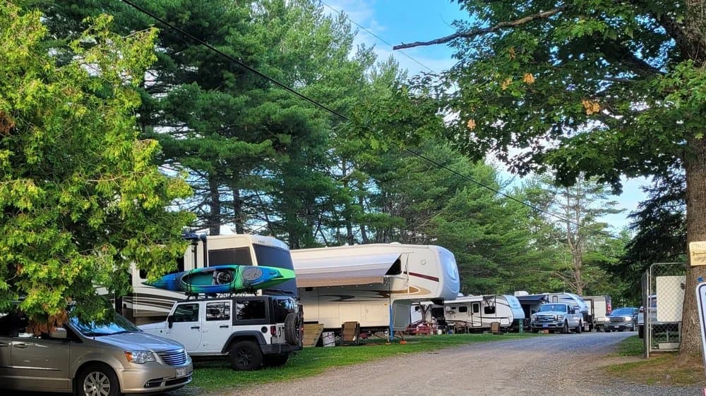 Cold River Campground (Eddington, Maine) photo