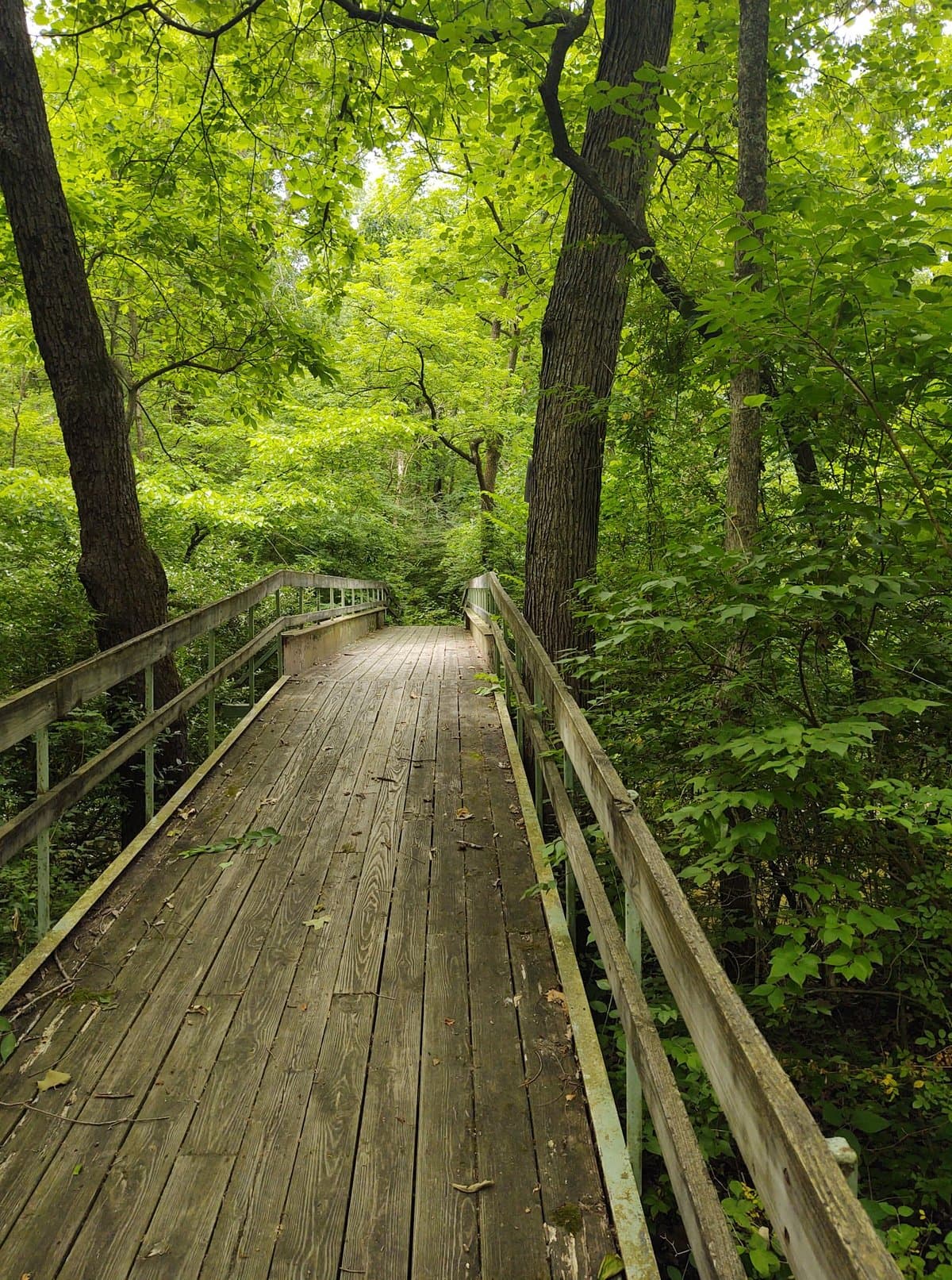 Camp Warren Levis (Godfrey, Illinois) photo