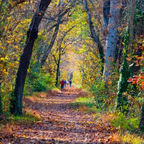 Killiansburg Cave Campsite